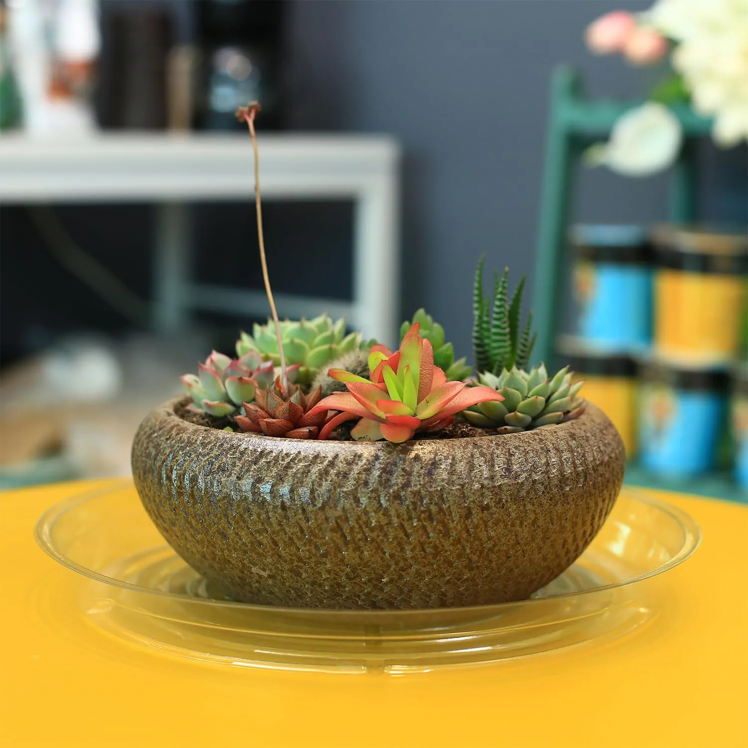 40 Pack 10 Inch Plant Saucer Clear Plant Saucers for Outdoors Plants Drip Trays, Large Pot Saucer No Holes Pot Saucers Planter Trays for Outdoor Plants Bulk Plastic Tray for Flower Pots, Snack Storage