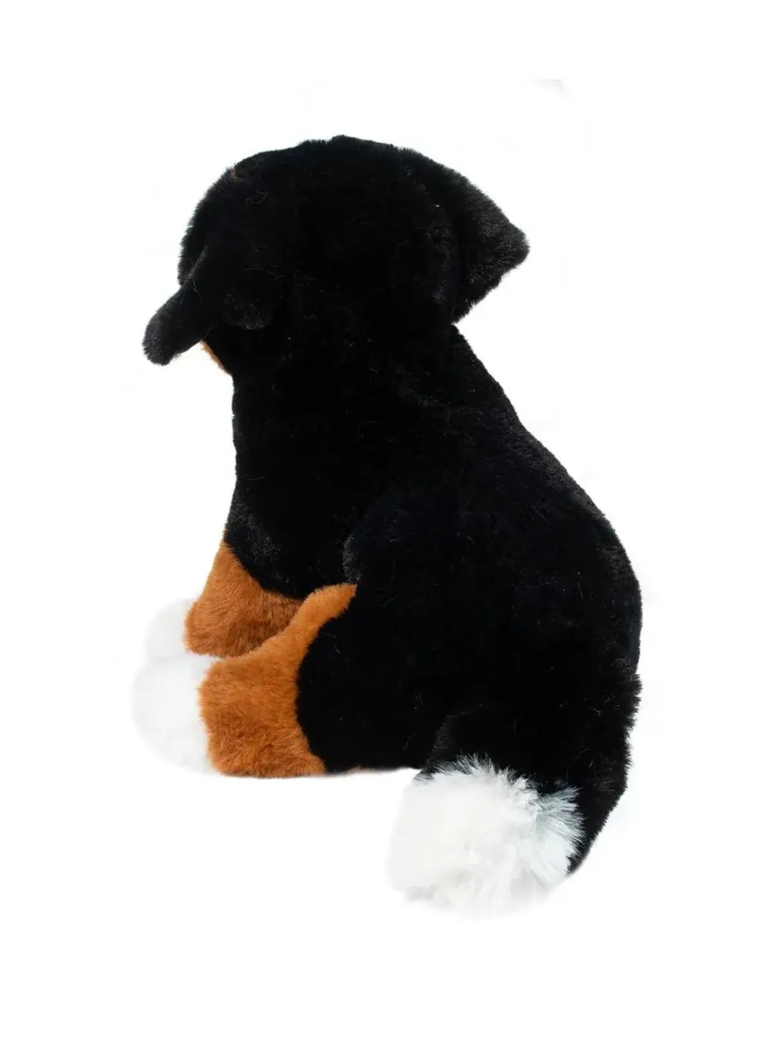 Bowie Bernese Mountain Dog