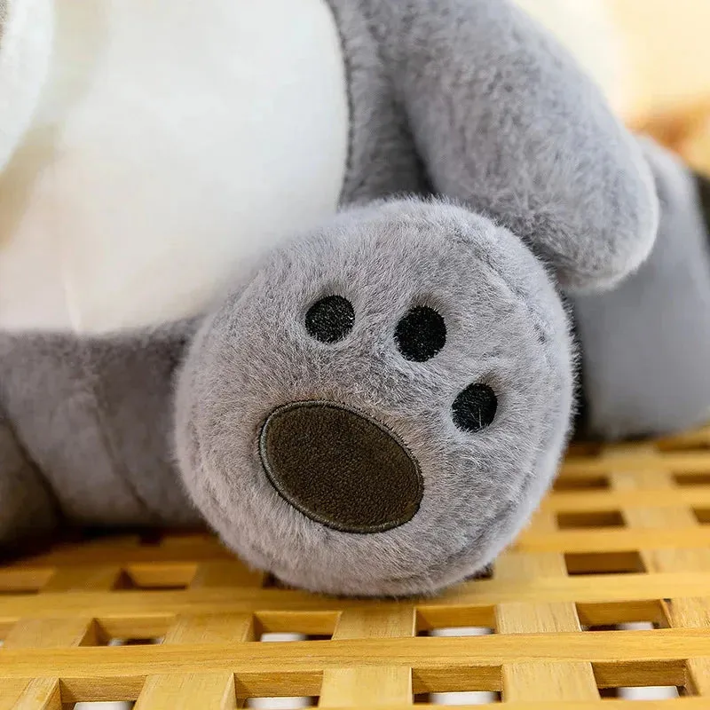 Coonie and Goonie the Raccoon Plushie Buddies