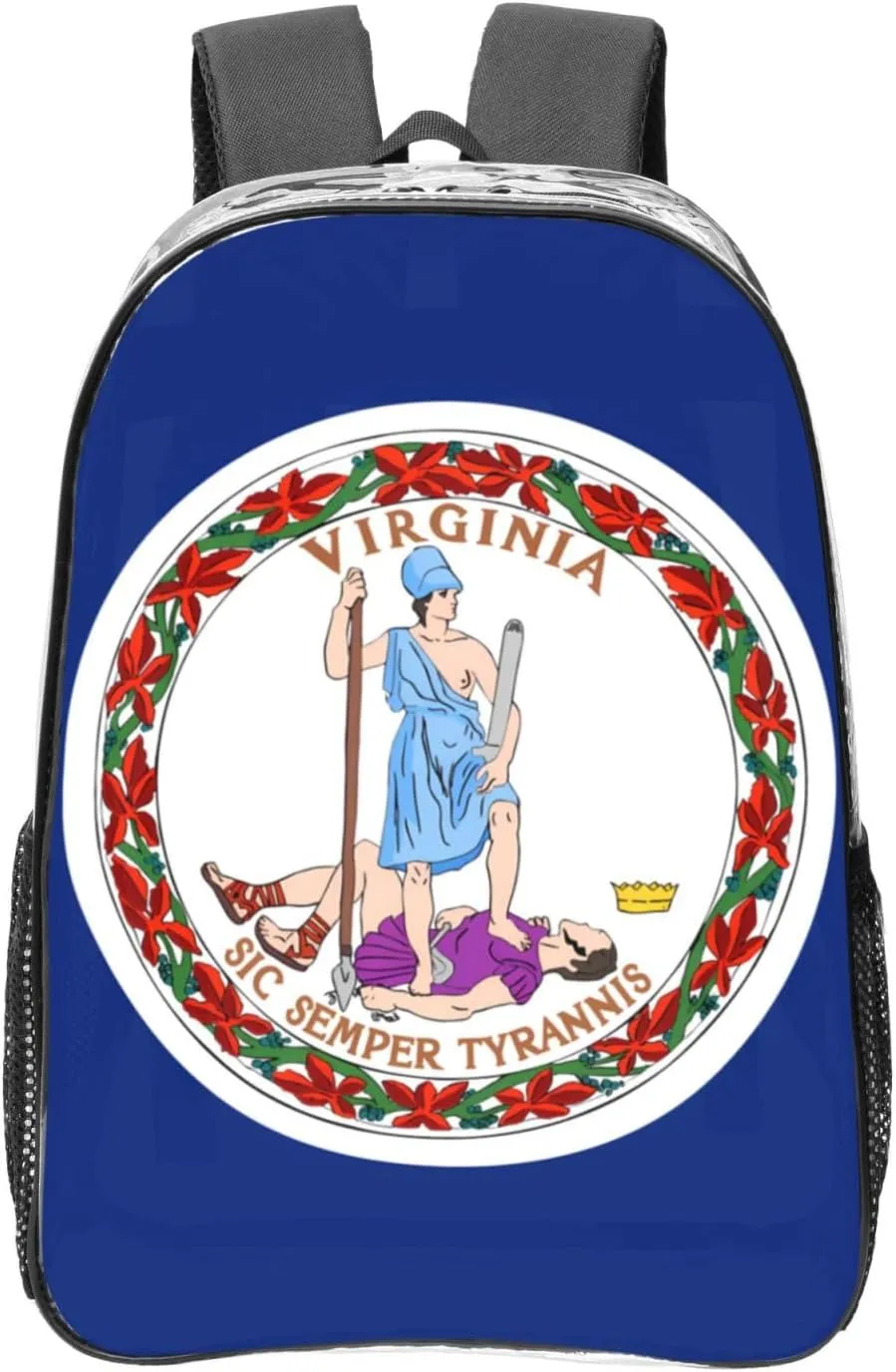 Flag Of Virginia Transparent Backpack-16-Inch Pvc Clear Backpack With Side Pockets,Black