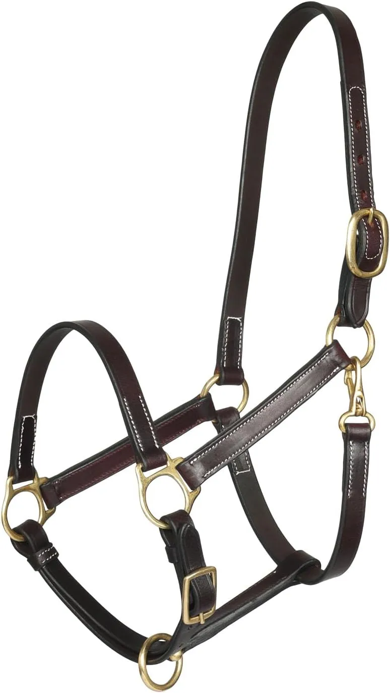 Henri de Rivel Pre Oiled Leather Halter with White Stitching and Brass Snap