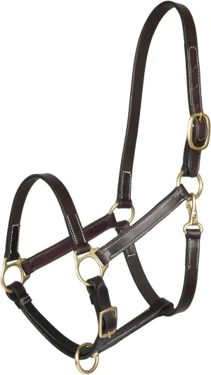 Henri de Rivel Pre Oiled Leather Halter with White Stitching and Brass Snap