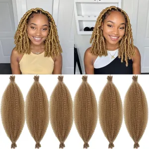 Marley Twist Braiding Hair 12 Inch Marley Hair for Soft Faux Locs Spring Twist hair Passion Twist Hair Butterfly Locs Crochet Hair for Black Women Kinky Twist Hair for Braiding(6 Packs,27#)