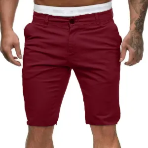Men's Slim Fit Stretch Shorts Casual Fashion Vacation Beach Shorts Drawstring Elastic Waist Streetwear Short