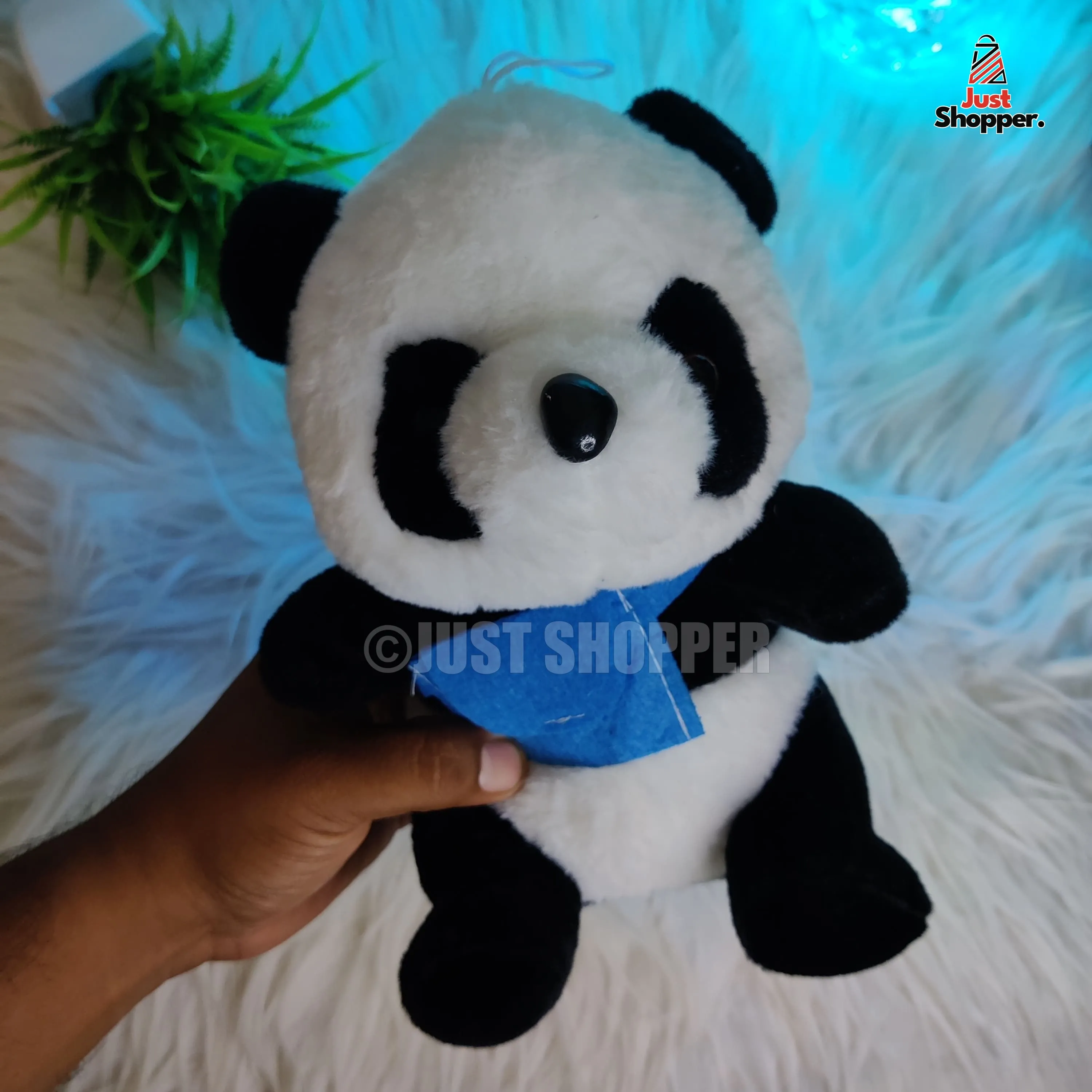 Panda Soft Toy