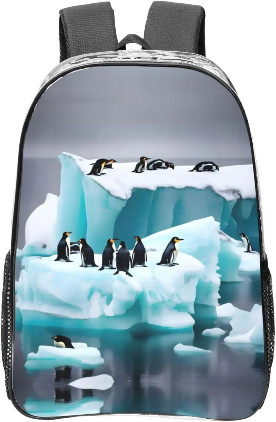 Penguins On The Iceberg print Clear Backpack with Pockets Bookbag, Clear Bookbag for College Work Casual Sport, Black