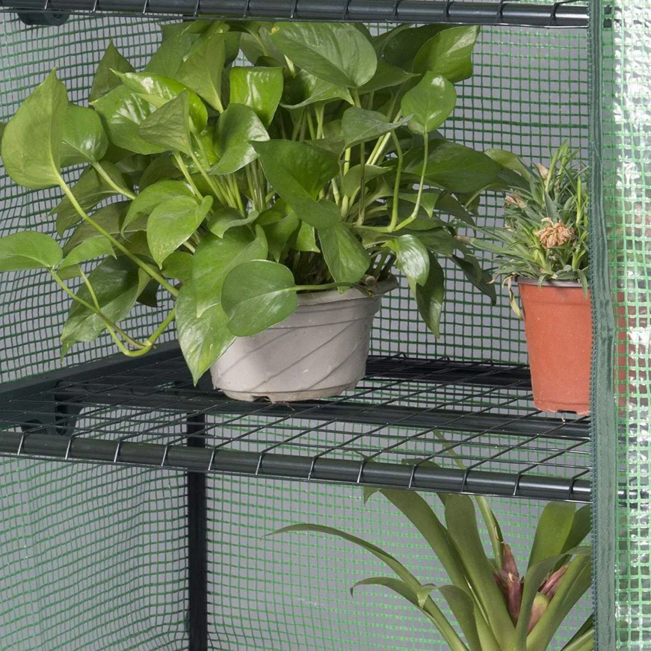 Rootz Foil Greenhouse 2/3 Tiers - Small Greenhouse - Tomato House - Plant Protector - 69cm x 49cm x 158cm - 140g/m2 PE Mesh